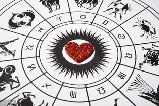 占卜术语关于爱情的意思